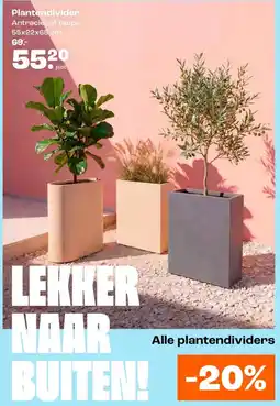 Kwantum Plantendivider aanbieding