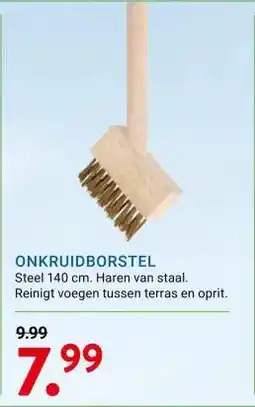 Kluswijs ONKRUIDBORSTEL aanbieding