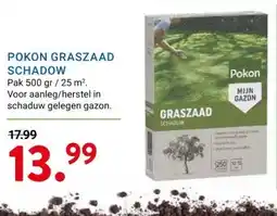Kluswijs POKON GRASZAAD SCHADOW aanbieding