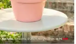 Intratuin Pot Tunis. aanbieding
