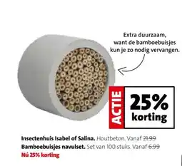Intratuin Insectenhuis Isabel of Salina, Bamboebuisjes navulset. aanbieding