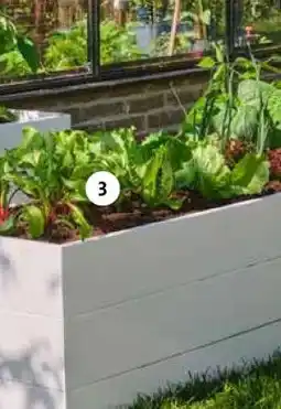 Intratuin Biologische groenteplanten aanbieding