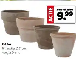 Intratuin Pot Fez. aanbieding