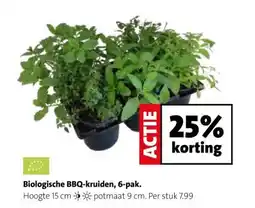 Intratuin Biologische BBQ-kruiden, 6-pak. aanbieding