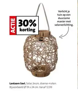 Intratuin Lantaarn Savi. aanbieding
