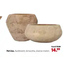 Intratuin Pot Lisa. aanbieding