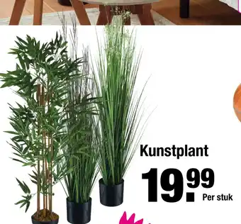 ALDI Kunstplant aanbieding