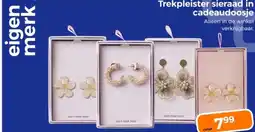 Trekpleister Trekpleister sieraad in cadeaudoosje aanbieding