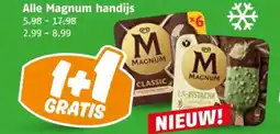 Poiesz Alle Magnum handijs aanbieding