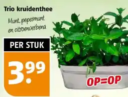 Poiesz Trio kruidenthee aanbieding