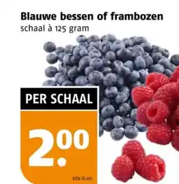 Poiesz Blauwe bessen of frambozen aanbieding