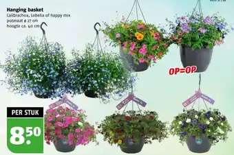 Poiesz Hanging basket aanbieding