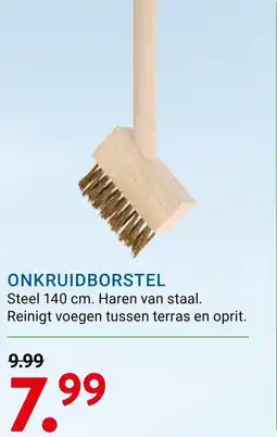 Kluswijs Onkruidborstel aanbieding