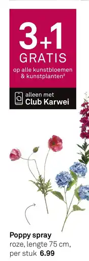 Karwei Poppy spray aanbieding
