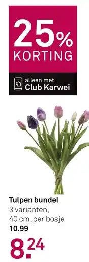 Karwei Tulpen bundel aanbieding