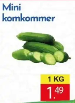 Tanger Markt Mini Komkommer aanbieding