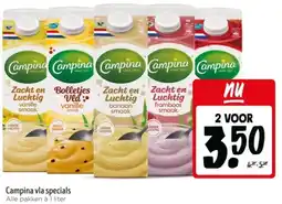 Jumbo Campina vla specials aanbieding