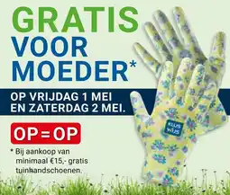 Kluswijs Voor moeder aanbieding