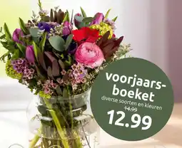 Deka Tuin Voorjaarsboeket aanbieding