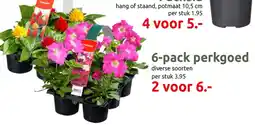 Deka Tuin 6-pack perkgoed aanbieding