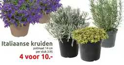 Deka Tuin Italiaanse kruiden aanbieding