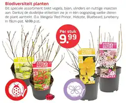 Coppelmans Biodiversiteit planten aanbieding