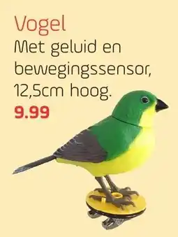 Coppelmans Vogel aanbieding