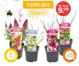 Coppelmans Nature aanbieding