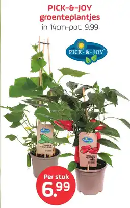 Coppelmans Pick & Joy Groenteplantjes aanbieding