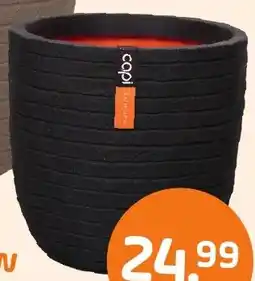 Coppelmans Capi Nature Row aanbieding