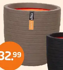 Coppelmans Capi Nature Row aanbieding