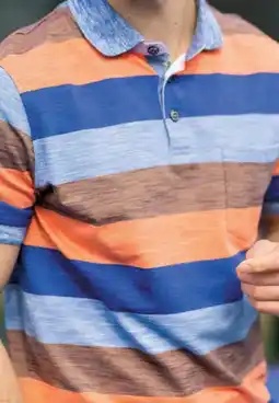 Van Dal Mannenmode Bartlett Active Polo[link] aanbieding