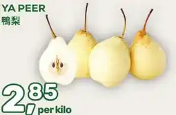 Amazing Oriëntal Ya peer aanbieding