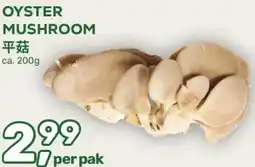 Amazing Oriëntal Oyster mushroom aanbieding