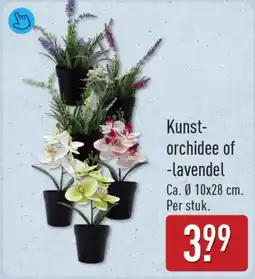 ALDI Kunst-orchidee of lavendel aanbieding