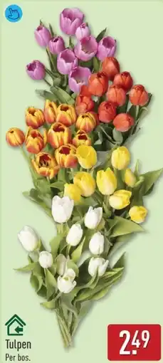 ALDI Tulpen aanbieding