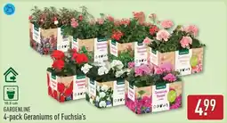 ALDI Gardenline Geraniums of Fuchsia's aanbieding