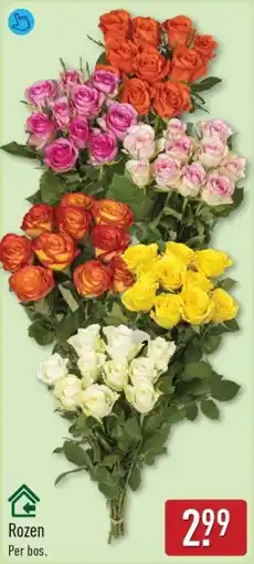 ALDI Rozen aanbieding