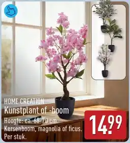 ALDI Home creation Kunstplant of boom aanbieding