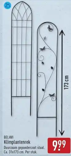 ALDI BELAVI Klimplantenrek aanbieding