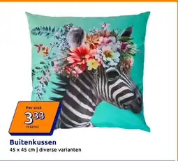 Action Buitenkussen aanbieding