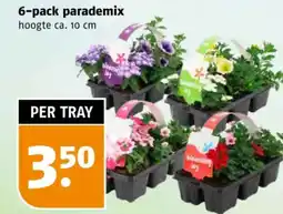 Poiesz 6-pack parademix aanbieding