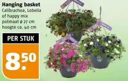 Poiesz Hanging basket aanbieding