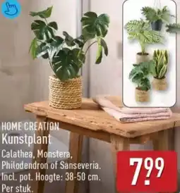 ALDI Home creation kunstplant aanbieding