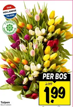 Vomar Voordeelmarkt Tulpen aanbieding