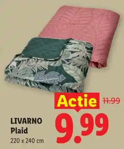 Lidl Livarno Plaid aanbieding