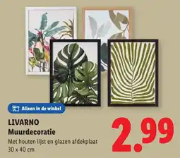 Lidl Livarno Muurdecoratie aanbieding