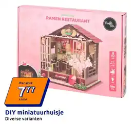 Action DIY miniatuurhuisje aanbieding