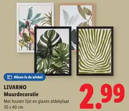 Lidl Livarno Muurdecoratie aanbieding