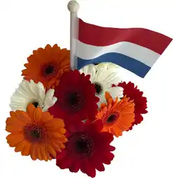 Albert Heijn AH Koningsdagmix aanbieding